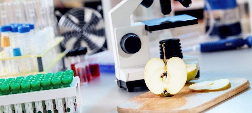 badania i testy diagnostyczne testy immunologiczne wykonywane w laboratorium